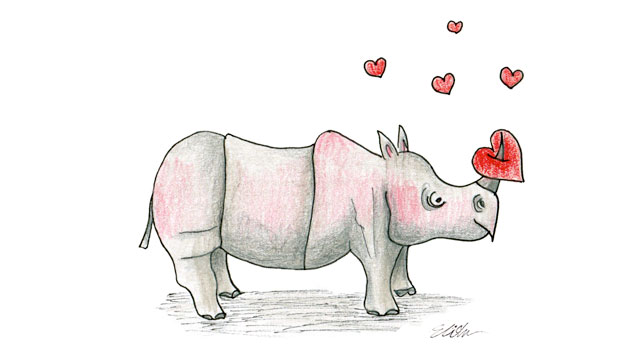 rhino love