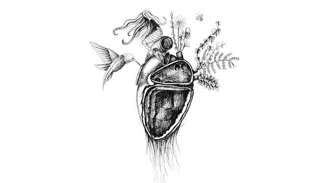 Heart Featured Image